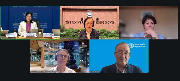 Screenshot of the WPRO webinar session with participants